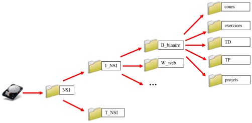 exemple d'arborescence
